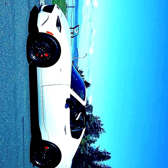 Meet your Posher, Blake - Picture 3 of 3